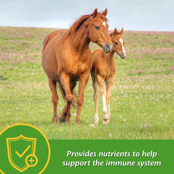 Farnam Grow Colt Growth & Development Supplement