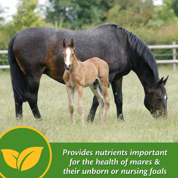 Farnam Mare Plus Gestation & Lactation Supplement