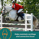 Farnam Next Level Joint Fluid Supplement For Horses (128 oz)