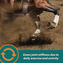 Farnam Next Level Joint Fluid Supplement, Supports Healthy Hip & Joint Function for Horses & Dogs (16 oz)