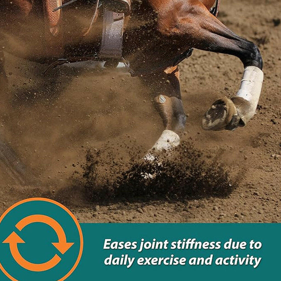 Farnam Next Level Joint Fluid Supplement, Supports Healthy Hip & Joint Function for Horses & Dogs (16 oz)