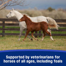 Farnam SandClear Psyllium Crumbles Digestive Supplement for Horses