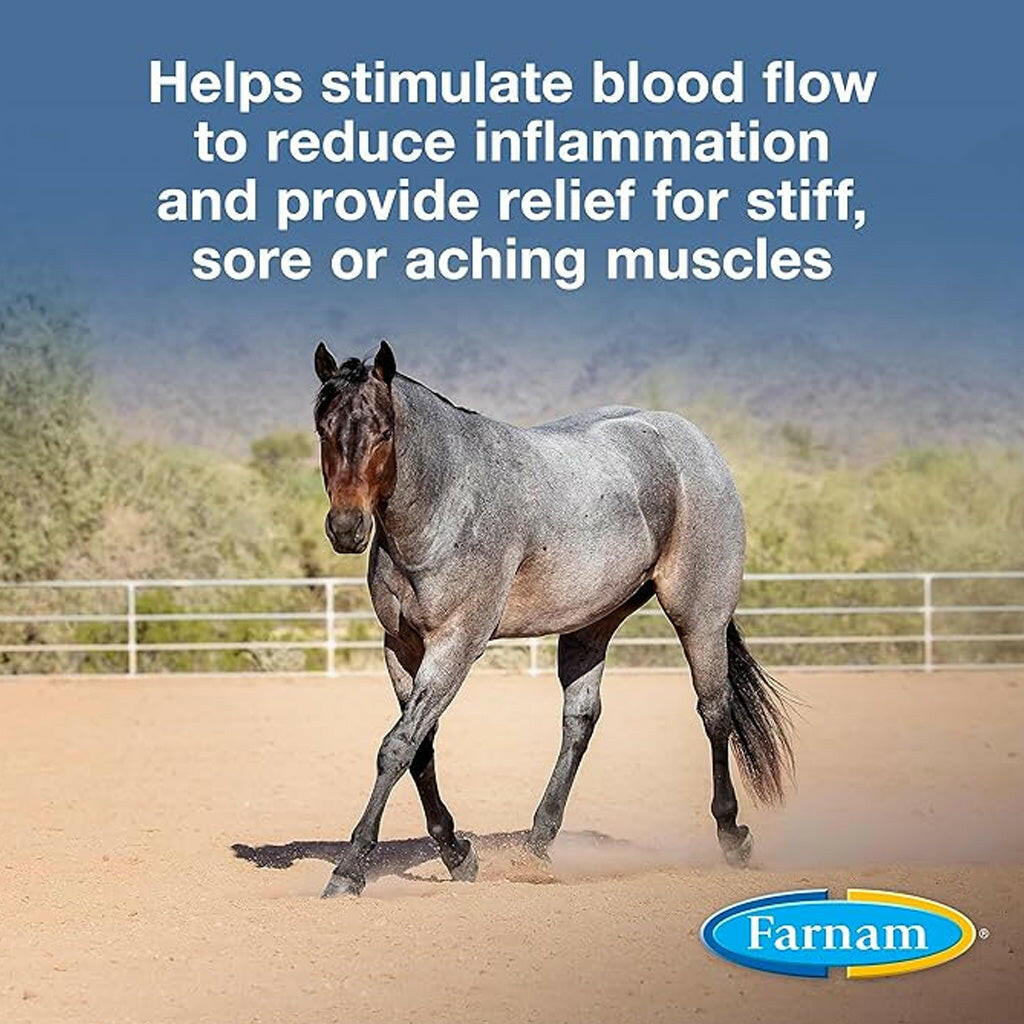 Farnam Vetrolin Sore Muscle & Joint Pain Relief Horse