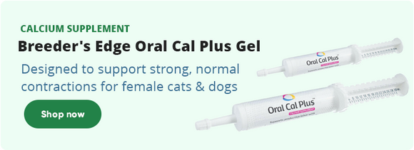 Feat 2 2234a9b8 6ae8 4041 9961 76eb65336597