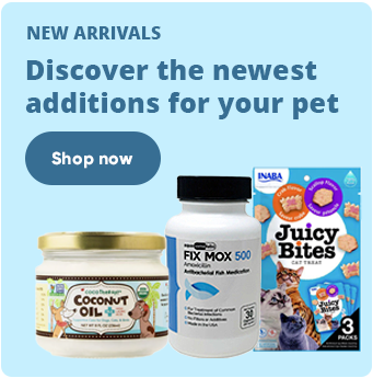 Feat 4 5648d015 0a89 458d 91ee 872d8d16d017