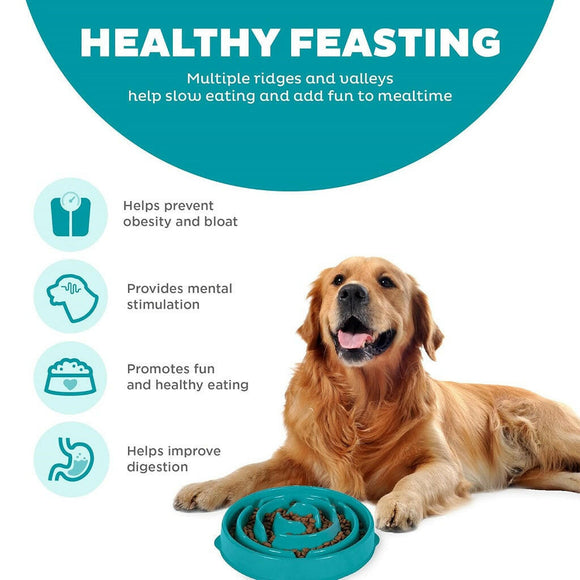 Outward Hound Fun Feeder Turquoise Drop For Dogs (Large/Regular)