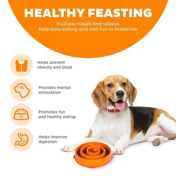 Outward Hound Fun Feeder Orange Swirl Dog Bowl Feeder (Medium)