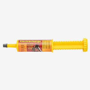 Finish Line Electrocharge Fast-Acting Electrolyte Paste for Horses (60 cc)