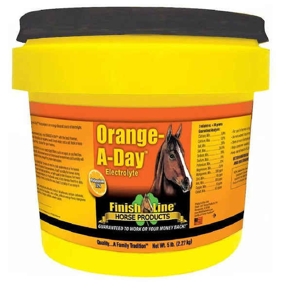 Finish Line Orange-A-Day Electrolytes Powder Supplement for Horses (5 lb) - Horse Vitamins & Supplements 1