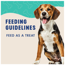 Finley’s Blueberry & Coconut Recipe Crunchy Biscuits Dog Treats - Dog Biscuits & Crunchy Treats 6