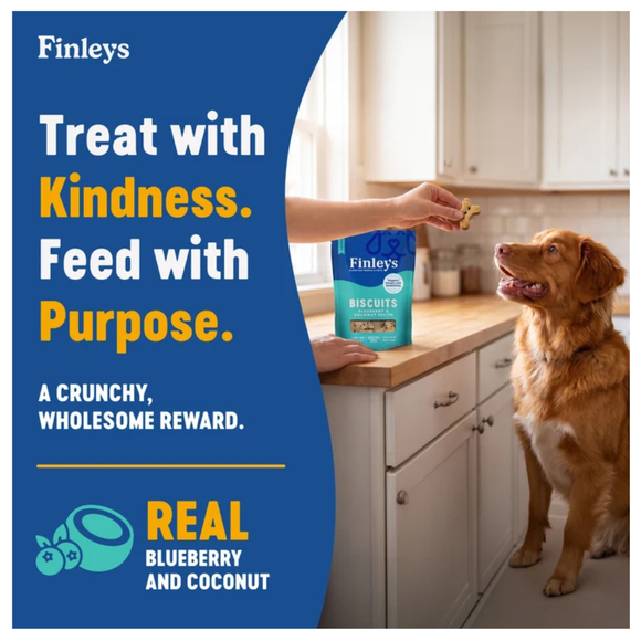 Finley’s Blueberry & Coconut Recipe Crunchy Biscuits Dog Treats - Dog Biscuits & Crunchy Treats 8