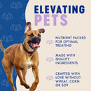 Finley’s Meaty Sticks Dog Treats - Dog Treats 13