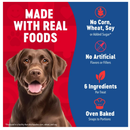 Finley’s Peanut Butter & Pumpkin Recipe Crunchy Biscuits Dog Treats - Dog Biscuits & Crunchy Treats 7