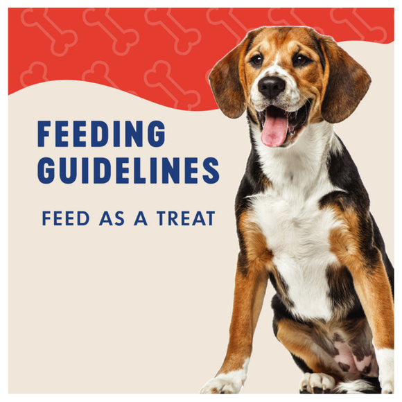 Finley’s Peanut Butter & Pumpkin Recipe Crunchy Biscuits Dog Treats - Dog Biscuits & Crunchy Treats 4