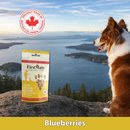 FirstMate Cage Free Chicken Meal & Blueberries Mini Trainers Grain Free Dog Treats (8 oz) - Dog Treats 7