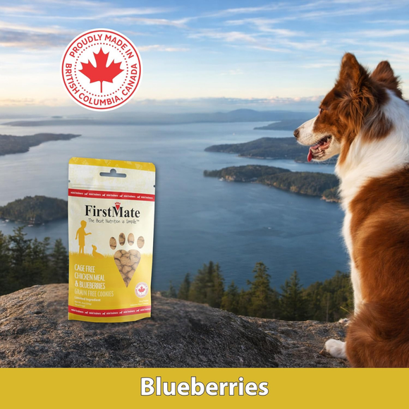 FirstMate Cage Free Chicken Meal & Blueberries Mini Trainers Grain Free Dog Treats (8 oz) - Dog Treats 7