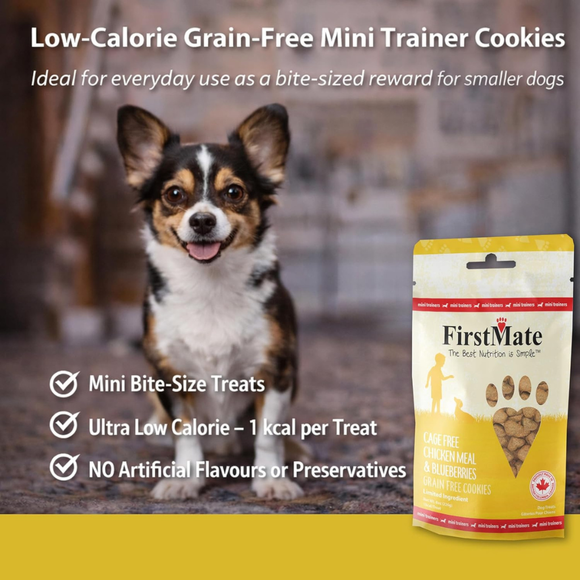 FirstMate Cage Free Chicken Meal & Blueberries Mini Trainers Grain Free Dog Treats (8 oz) - Dog Treats 5