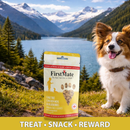FirstMate Cage Free Chicken Meal & Blueberries Mini Trainers Grain Free Dog Treats (8 oz) - Dog Treats 6