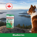 FirstMate Cage Free Duck Meal & Blueberries Mini Trainers Grain Free Dog Treats (8 oz) - Dog Treats 8