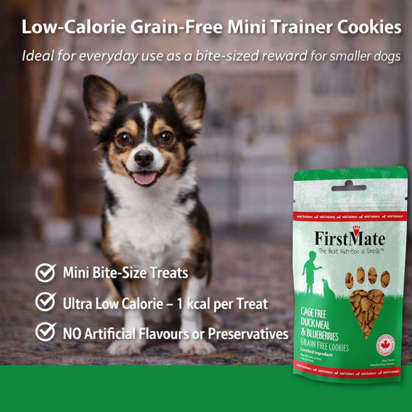 FirstMate Cage Free Duck Meal & Blueberries Mini Trainers Grain Free Dog Treats (8 oz) - Dog Treats 5