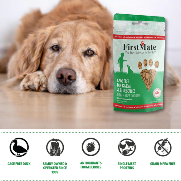 FirstMate Cage Free Duck Meal & Blueberries Mini Trainers Grain Free Dog Treats (8 oz) - Dog Treats 3