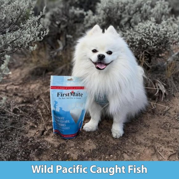 FirstMate Wild Pacific Caught Fish Meal & Blueberries Mini Trainers Grain Free Dog Treats (8 oz) - Dog Treats 5