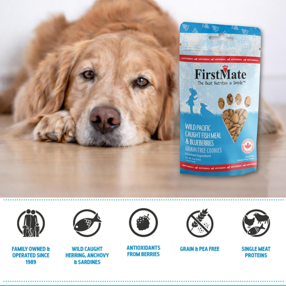 FirstMate Wild Pacific Caught Fish Meal & Blueberries Mini Trainers Grain Free Dog Treats (8 oz) - Dog Treats 4