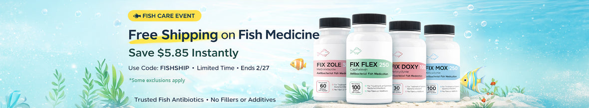 Fish event landing 1900x350