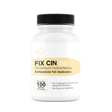 Fix Cin (Clindamycin) Capsules Fish Antibiotics