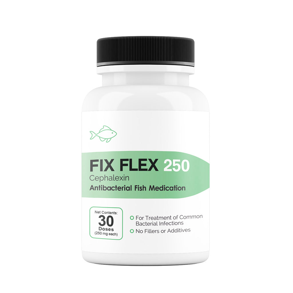 Fix Flex Cephalexin Capsules