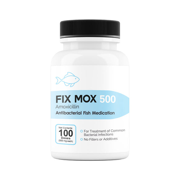 Fix Mox (Amoxicillin) Capsules Fish Antibiotics