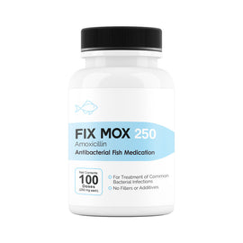 Fix Mox (Amoxicillin) Capsules Fish Antibiotics - 250-mg (100-count) - Fish Medication and Vitamins 1