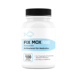 Fix Mox (Amoxicillin) Capsules Fish Antibiotics - 500-mg (100-count) - Fish Medication and Vitamins 2
