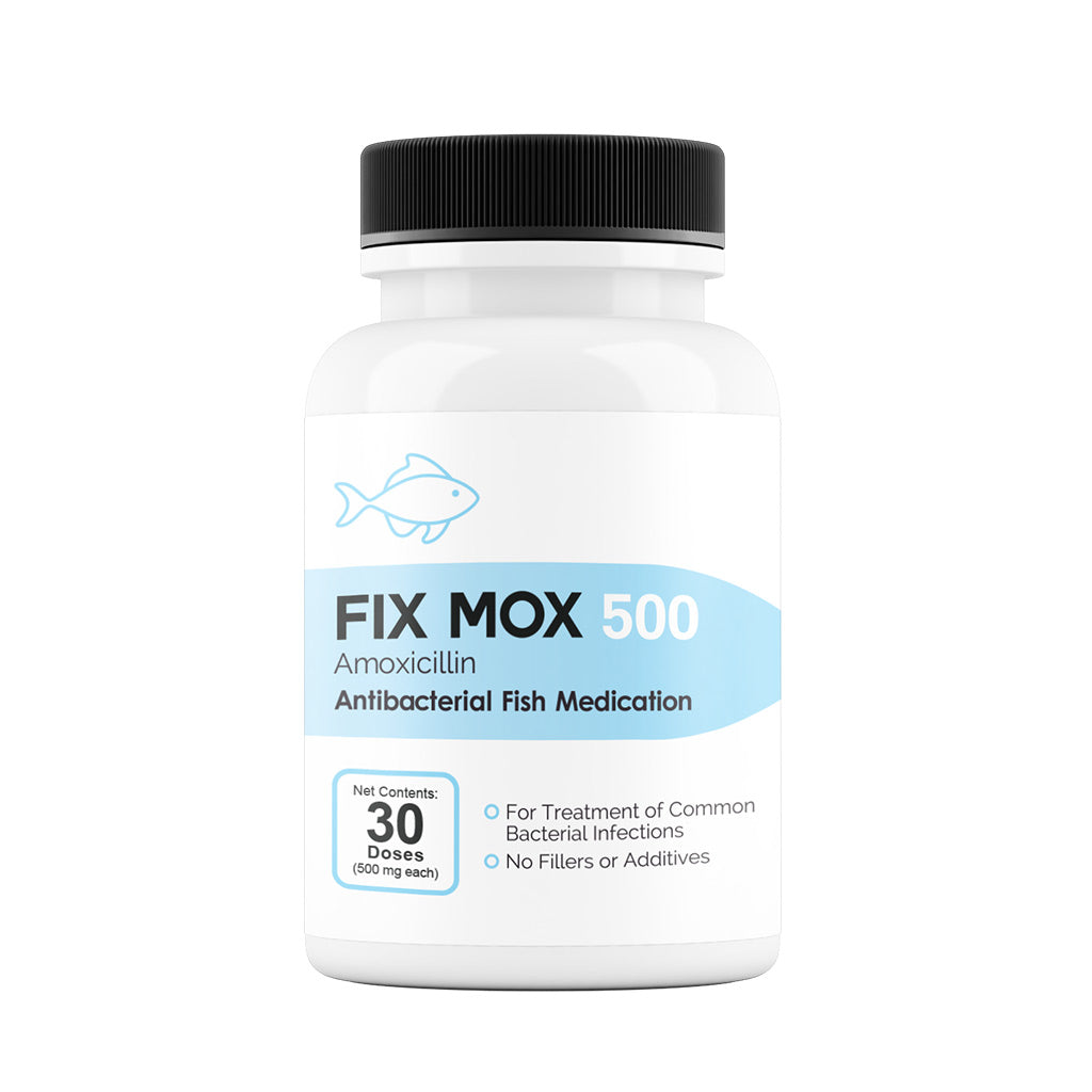antibiotic for fish hook wound Fix Mox Fish Antibiotics Capsules – Fish Infection Treatment