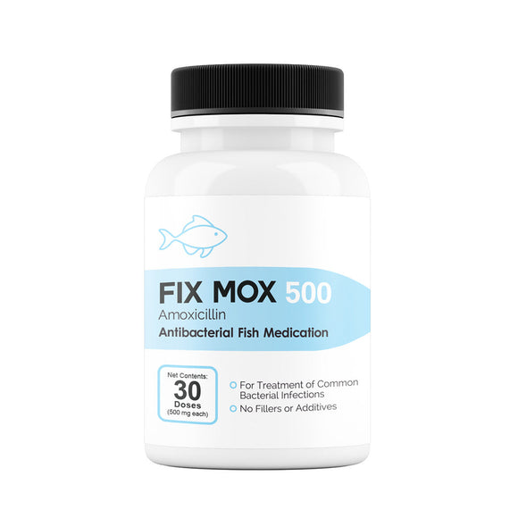 Fix Mox (Amoxicillin) Capsules Fish Antibiotics - 500-mg (30-count) - Fish Medication and Vitamins 4