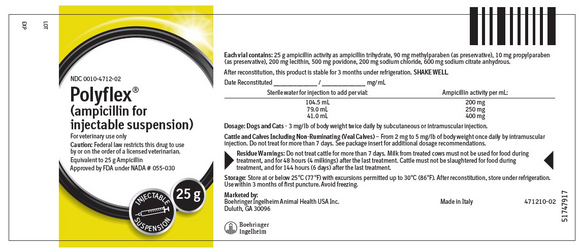 Polyflex (ampicillin) Injection 25 g (200 ml)