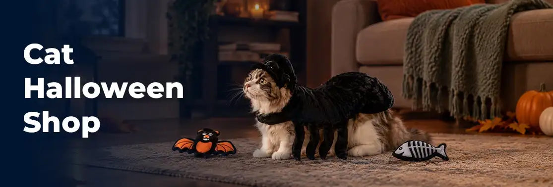 A fluffy tabby cat wearing a black spider costume with long legs and a hood.