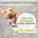 Four Paws Healthy Promise Pre & Probiotics Soft Chews For Dogs (90 ct)