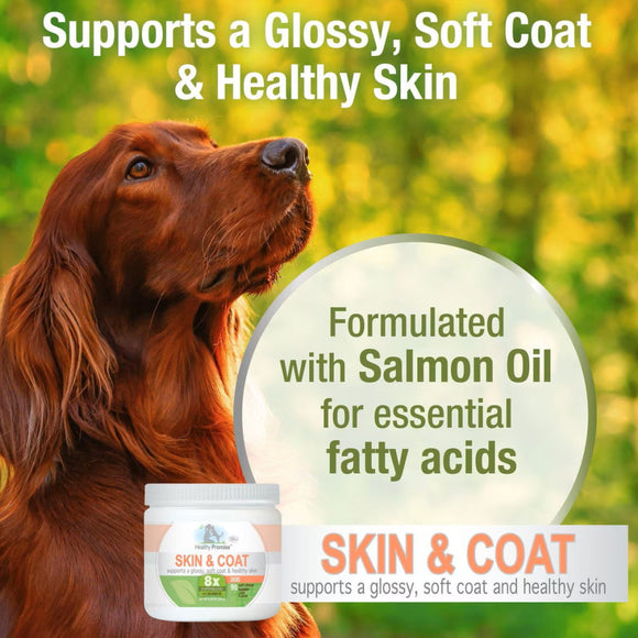 Four Paws Healthy Promise Supplements for Skin and Coat Soft Chews For Dogs (90 ct)