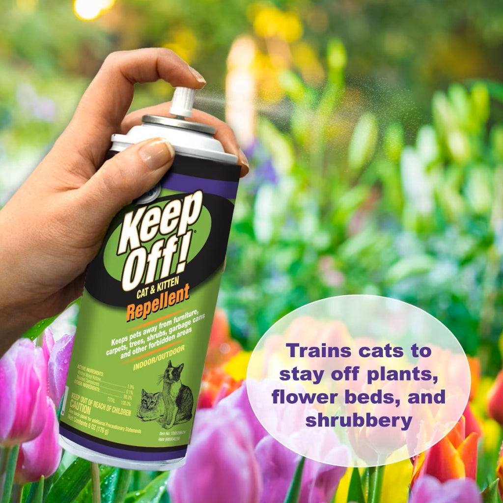 cat repellent garden spray Four Paws Keep Off! Indoor/Outdoor Cat & Kitten Repellent 6oz