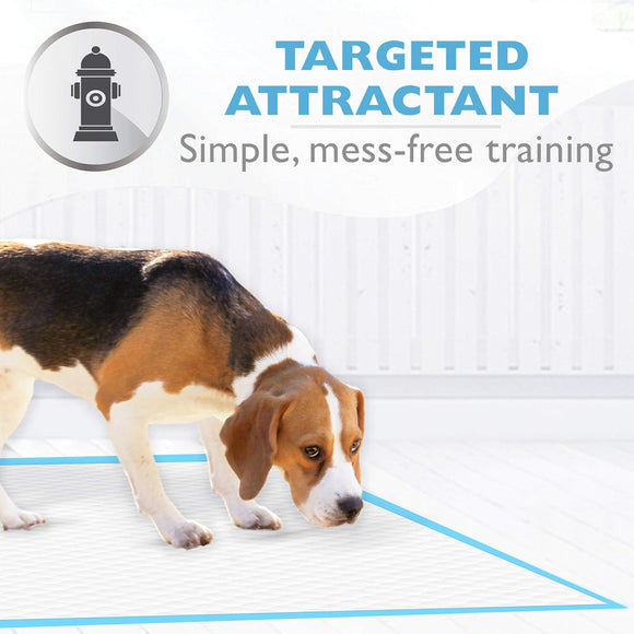 Four Paws Wee-Wee Washable Dog Pee Pads 30x32 Inch (1 pad)