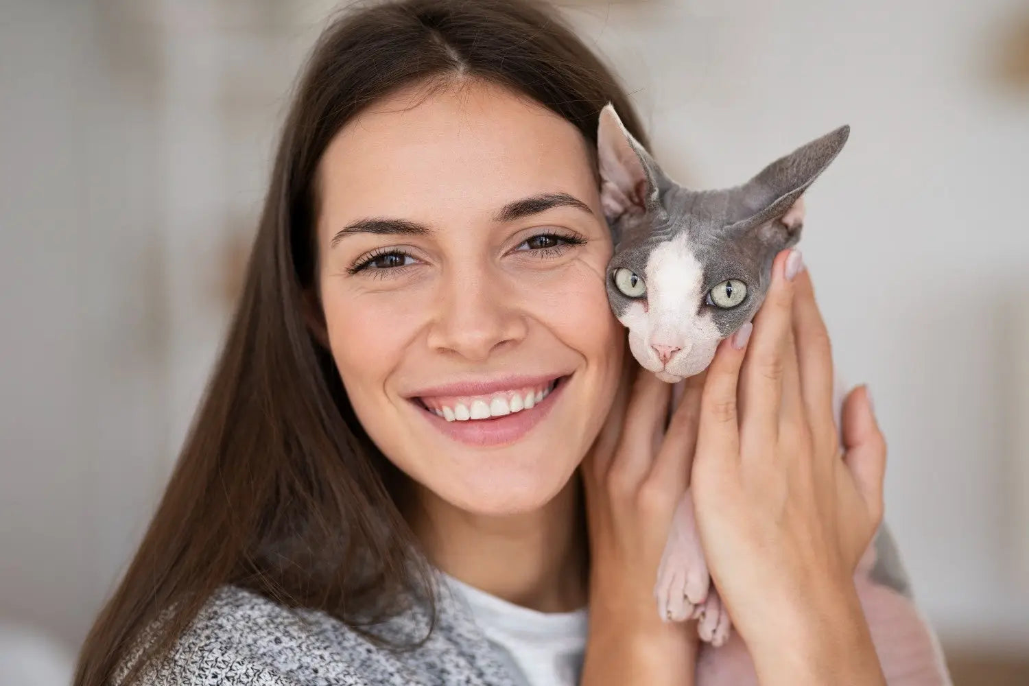 Cat Skin Conditions and Coat Care: Signs Causes and Solutions