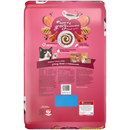 Friskies Gravy Swirlers Chicken & Salmon Flavor Dry Cat Food