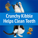 Friskies Party Mix Beachside Crunch Cat Treats - Cat Treats 3