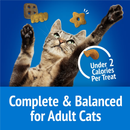 Friskies Party Mix Beachside Crunch Cat Treats - Cat Treats 5
