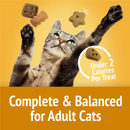 Friskies Party Mix Cheezy Craze Crunch Cat Treats - Cat Treats 3
