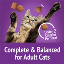 Friskies Party Mix Gravy-Licious Crunch Turkey & Gravy Cat Treats (2.1 oz) - Cat Treats 3