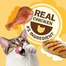 Friskies Party Mix Natural Yums Chicken Recipe Cat Treats - Cat Treats 3