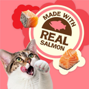 Friskies Party Mix Naturals Real Salmon Crunchy Cat Treats (2.1 oz) - Cat Treats 2