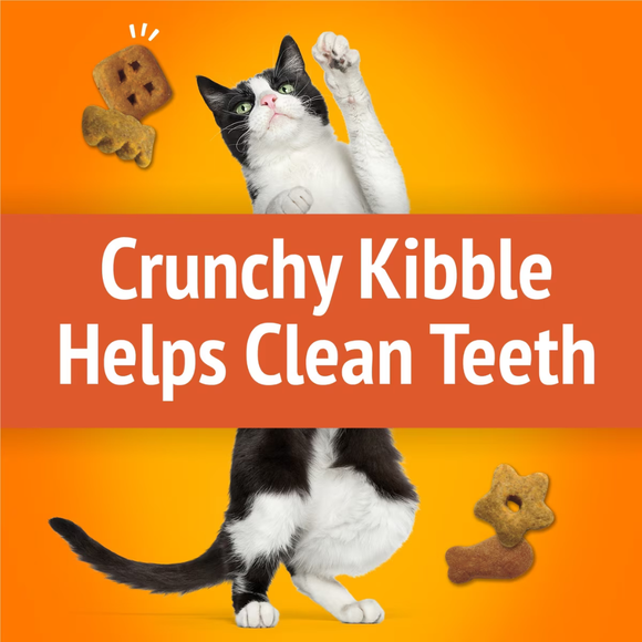 Friskies Party Mix Original Crunch Cat Treats - Cat Treats 3